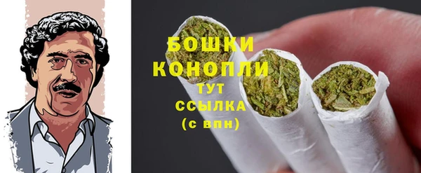 молекула духа Арсеньев