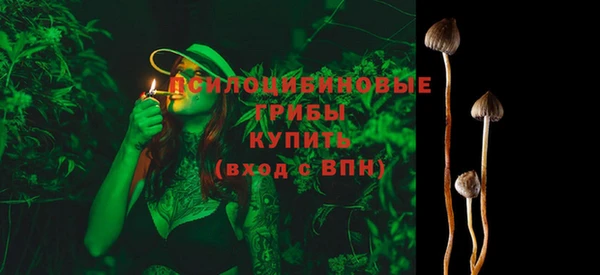 крисы Аркадак