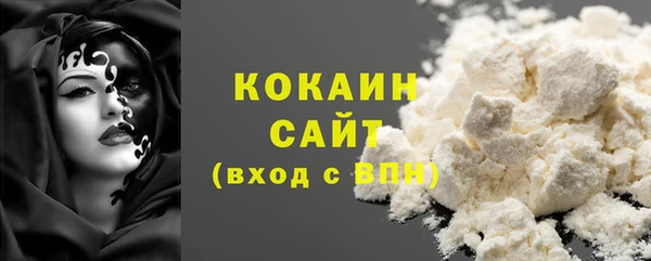 молекула духа Арсеньев