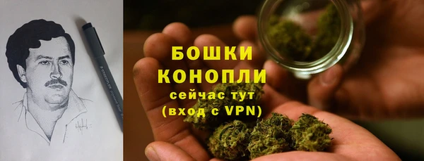 крисы Аркадак