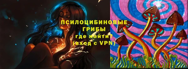 мяу мяу мука Баксан
